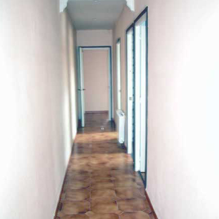 Canonge11